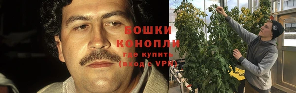 дживик Нефтекумск