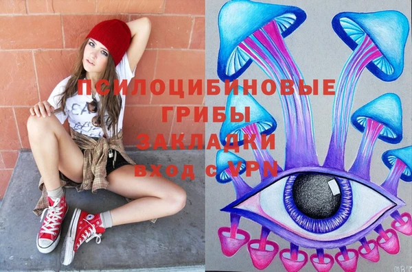 хмурый Новодвинск