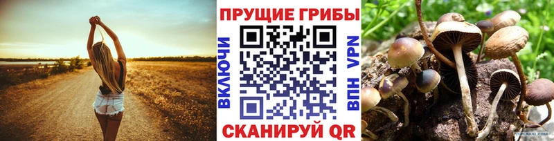 Галлюциногенные грибы ЛСД  купить наркоту  мориарти официальный сайт  Карпинск 