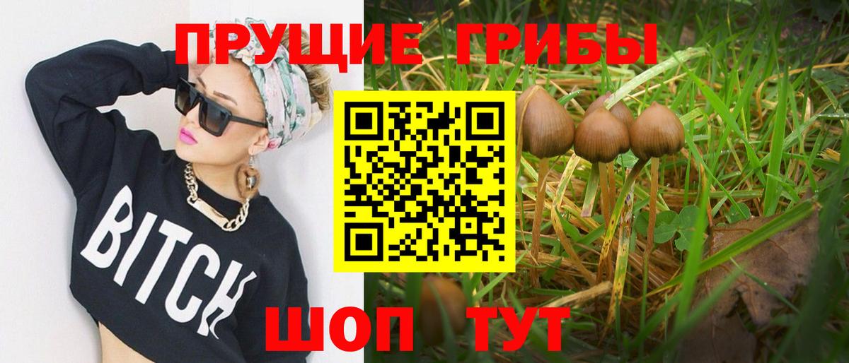 Галлюциногенные грибы прущие грибы Карпинск