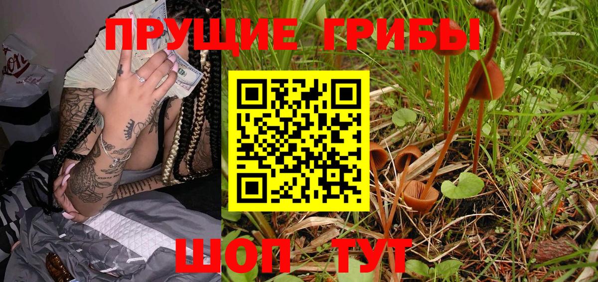Карпинск  Галлюциногенные грибы Psilocybe  Вход с VPN  Псилоцибиновые грибы GOLDEN TEACHER 