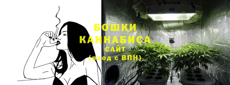 Канабис OG Kush  Карпинск 